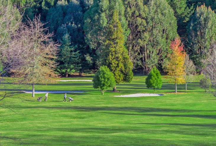 Wairakei Golf 9 hole