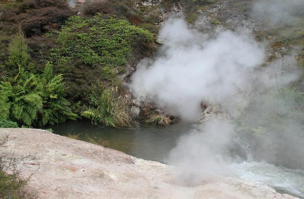 Wairakei Natural Thermal Valley