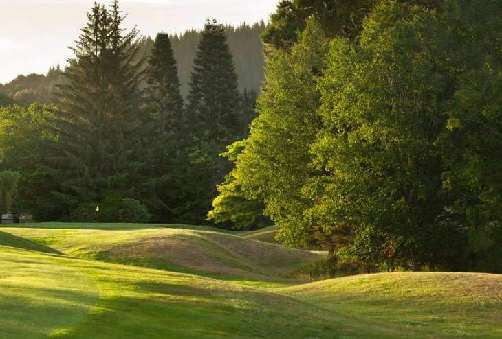 Wairakei Golf Course and Sanctuary
