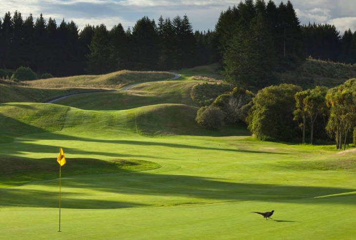Wairakei Golf Course and Sanctuary